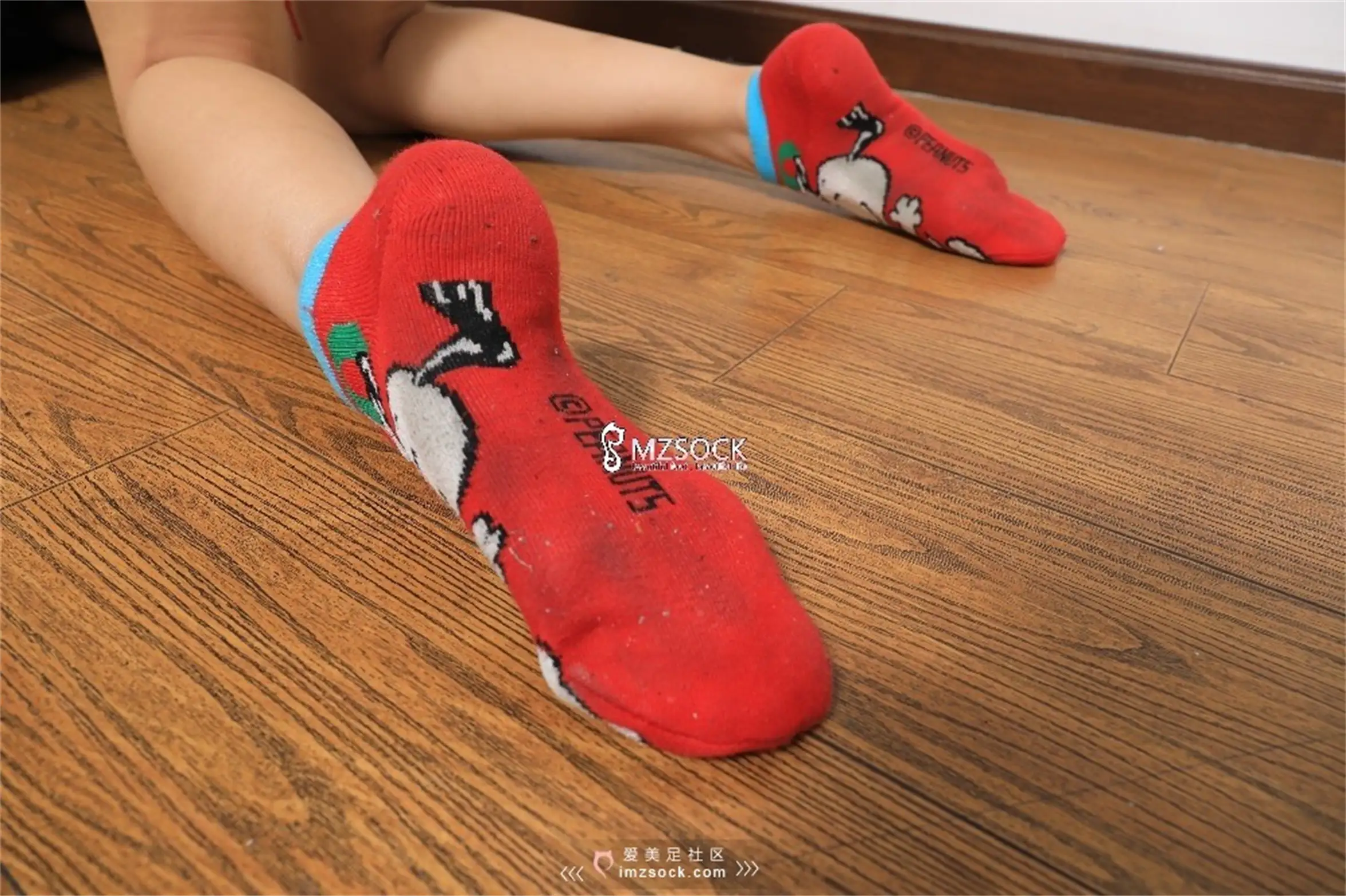 [MZSOCK]爱美足 NO.058-022