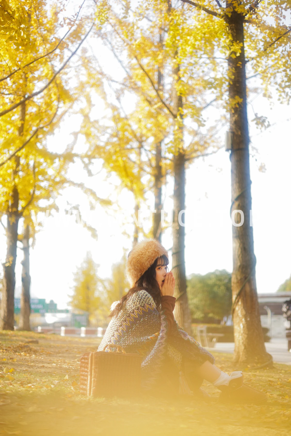 [艺图语]2023.01.12 Vol.2901 银杏不负秋#一只阿梦崽#[44P]-042