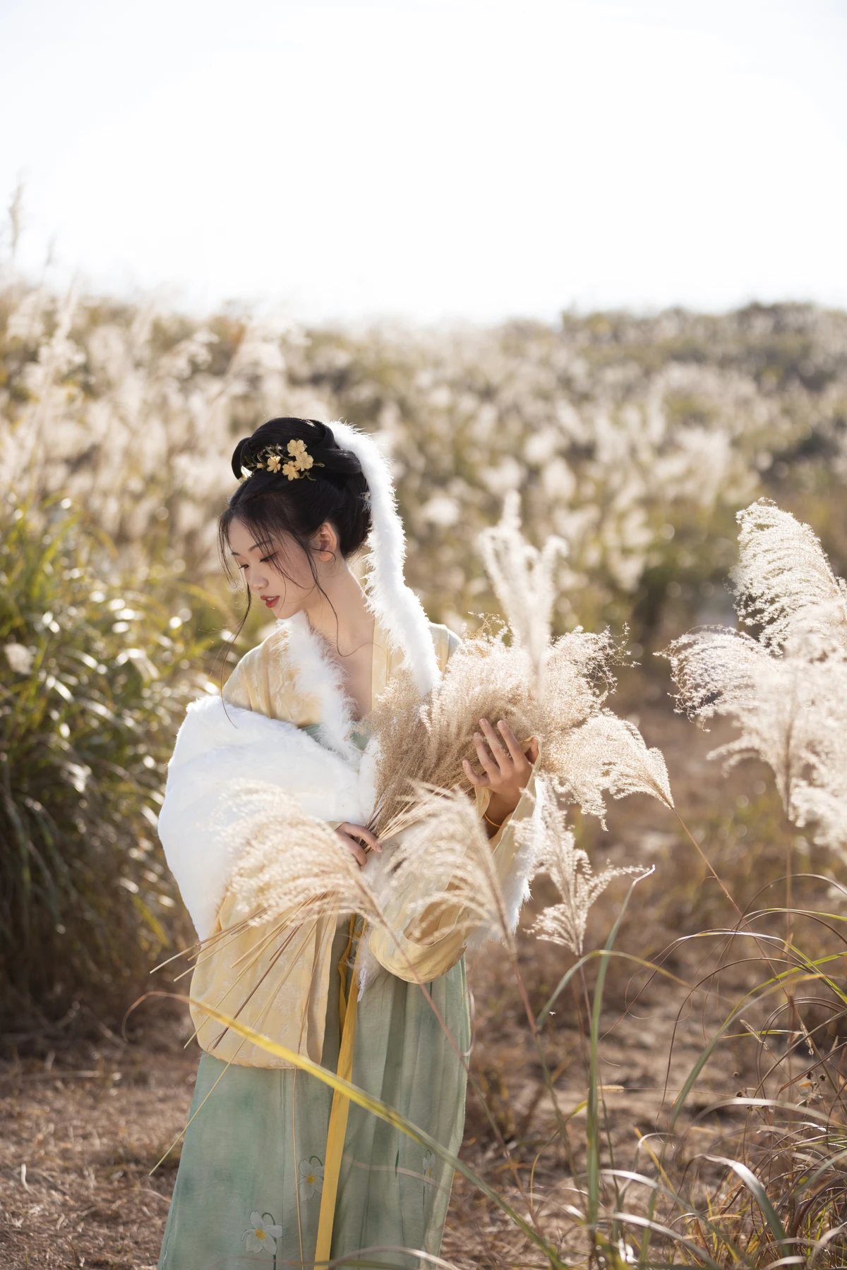 [艺图语]2023.02.09 Vol.3004 芦苇晚风鸣#晚江亭#[25P]-008