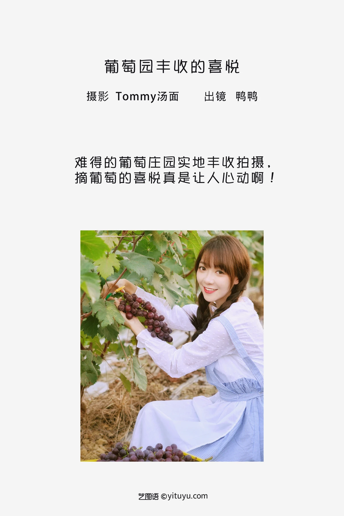 [艺图语]2023.02.04 Vol.2969 葡萄园丰收的喜悦#鸭鸭#[23P]-002