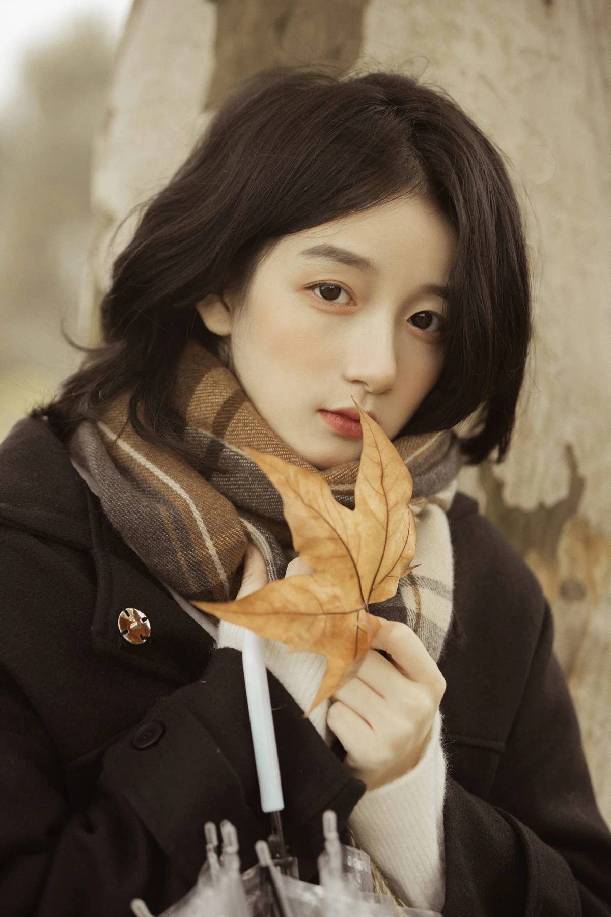 [艺图语]2023.01.16 Vol.2925 漫步梧桐林#肖绿叶#[25P]-016
