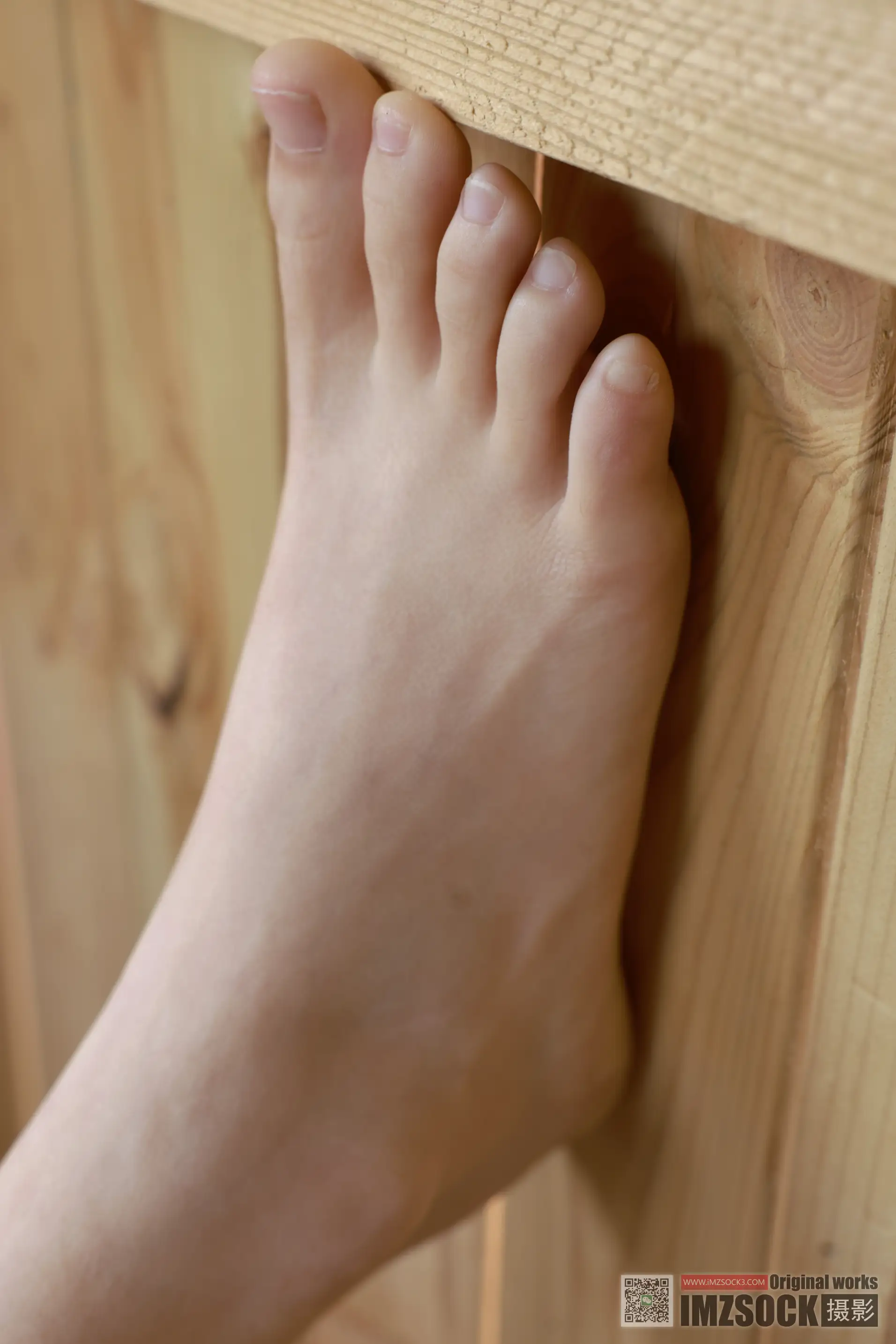 [MZSOCK]爱美足 NO.252-073