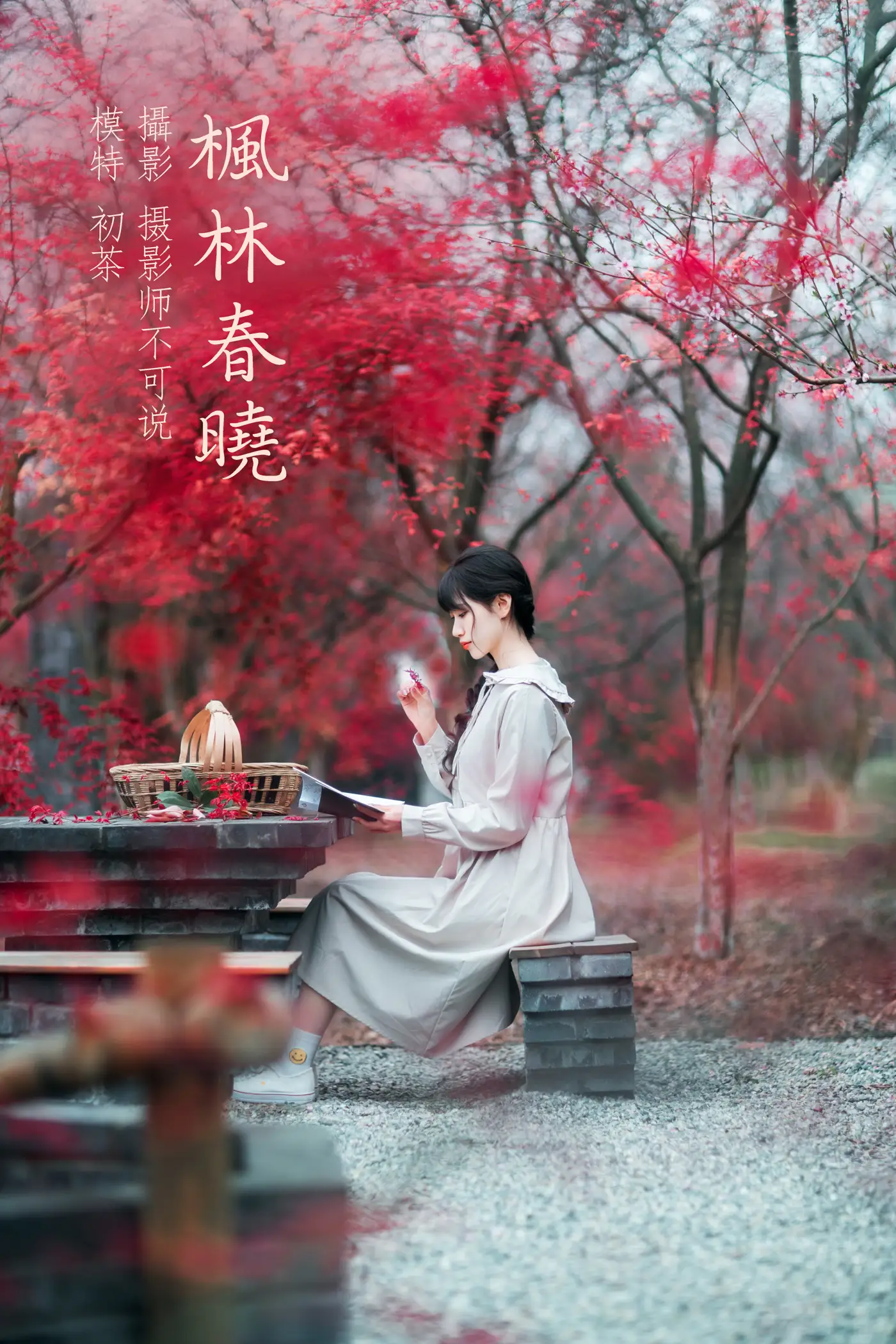 [艺图语] 2021.12.23 Vol.521 – 枫林春晓 初茶[39P]-PicJJ