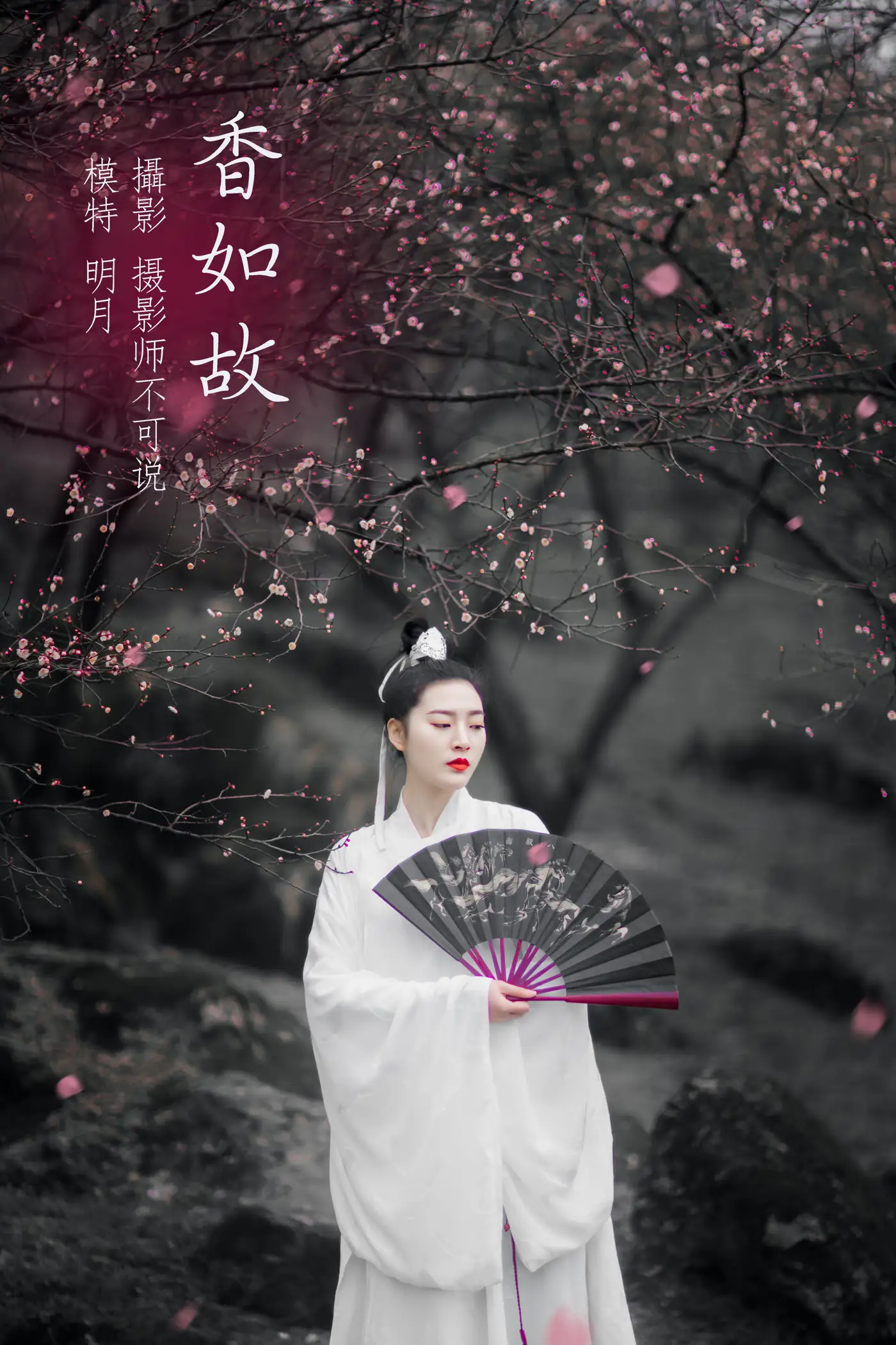 [艺图语] 2021.12.17 Vol.498 – 香如故 明月[36P]-PicJJ