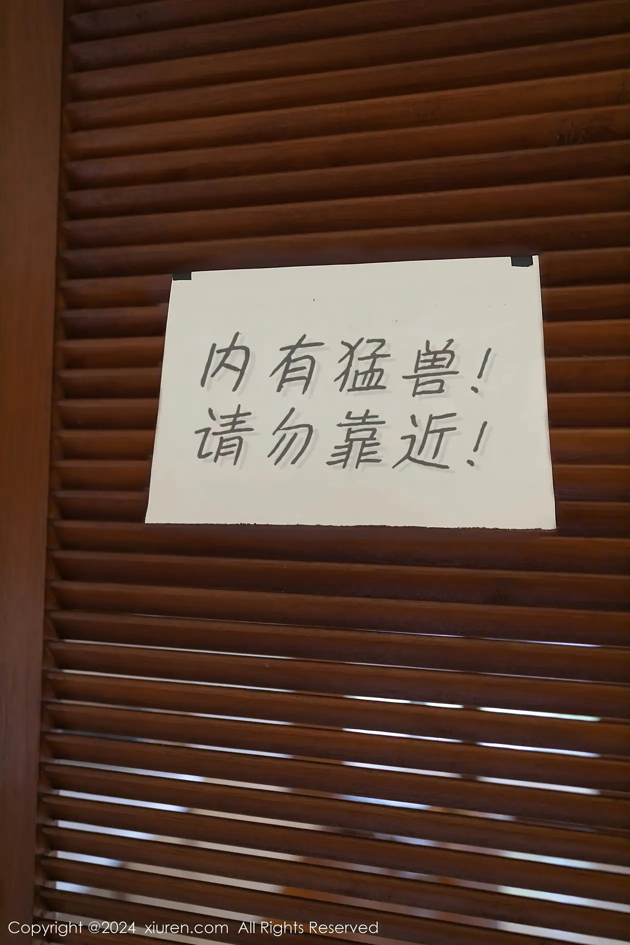 [秀人网] 2024.01.26 NO.8029-002