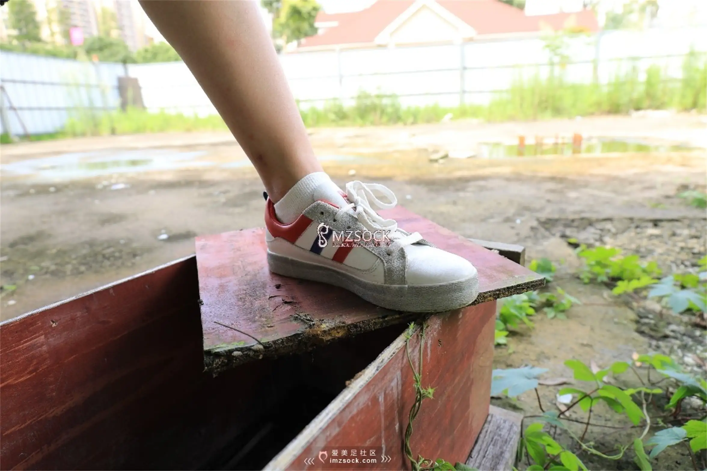 [MZSOCK]爱美足 NO.049-010