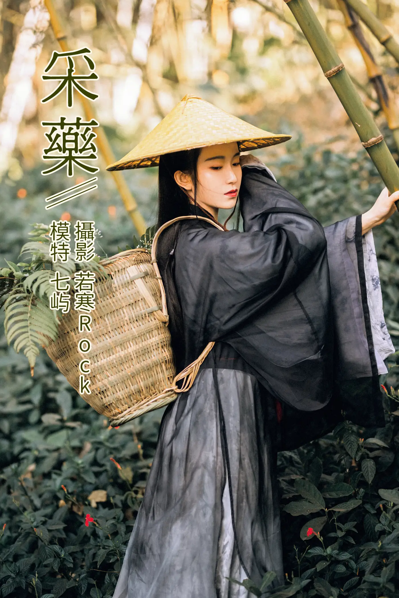 [艺图语] 2021.12.15 Vol.493 – 采药 七屿[30P]-PicJJ