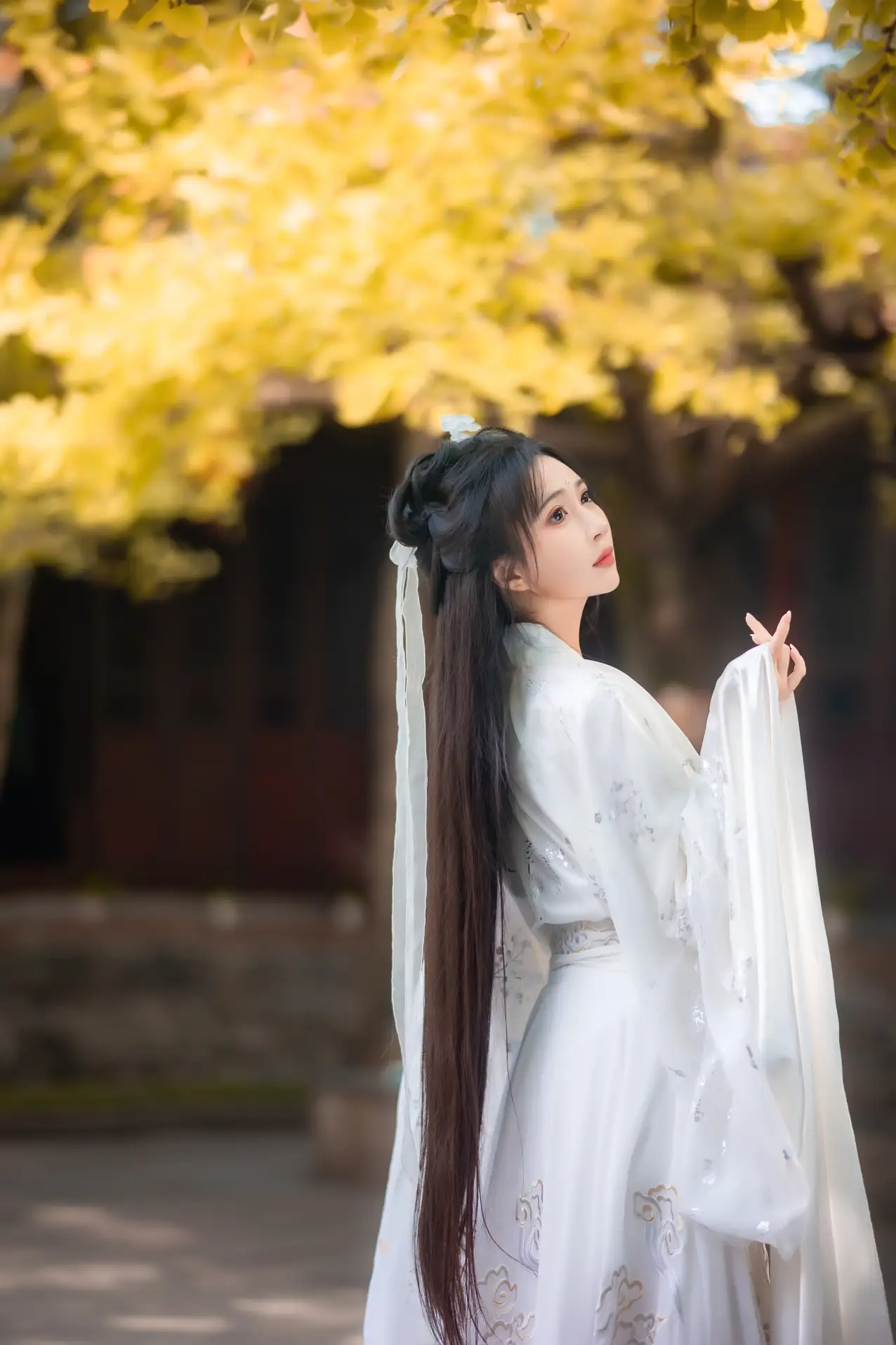 [艺图语] 2022.11.23 Vol.2505-006
